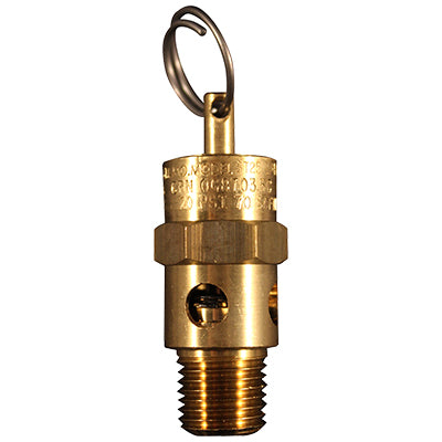 ASME Safety Valve | 1090-70 Milton
