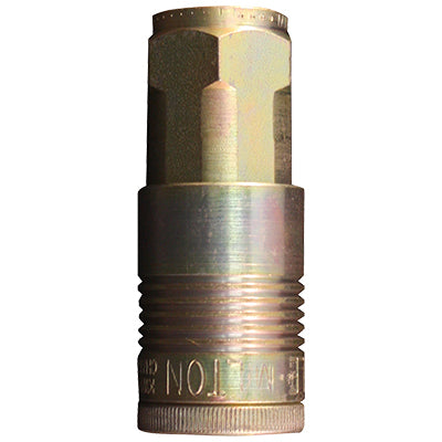 Female Body | 1815 Milton