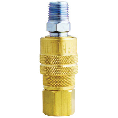 Female Body and Male Plug