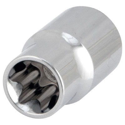 E-12 External Star Socket | W81012 Performance Tool