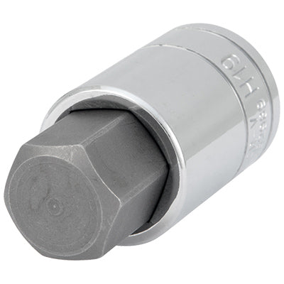 1/2 in. Drive Hex Bit Socket 19MM | W32989 Performance Tool