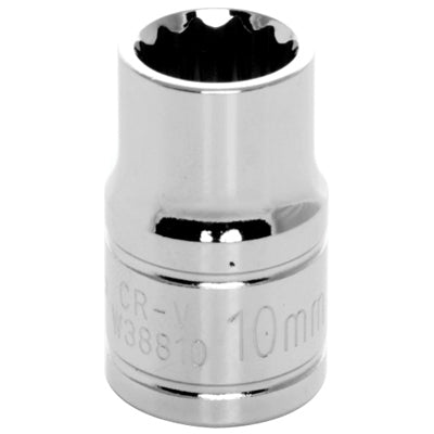 3/8 in. Drive 12 Point Standard Socket 10MM | W38810 Performance Tool