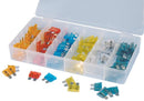Multi-Purpose Fuse